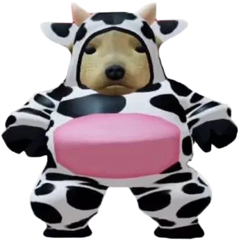 The costume